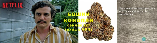 соль ск Бронницы