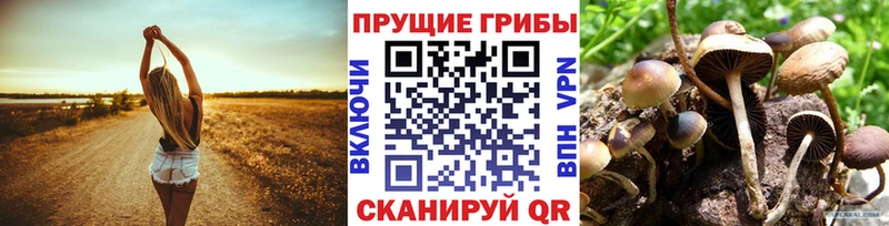 Галлюциногенные грибы Cubensis  ссылка на мегу   Северская 