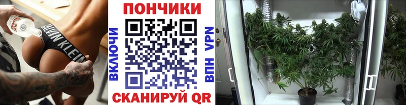 OMG ССЫЛКА  Северская  Каннабис Amnesia 